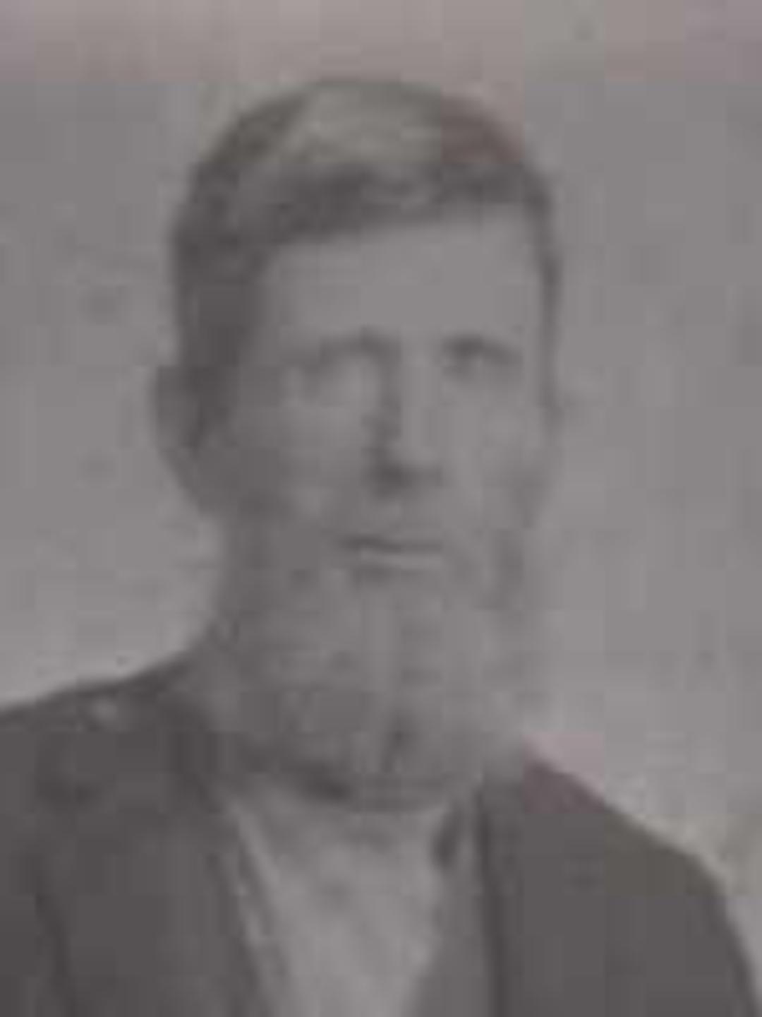 James Wood Calkins (1827 - 1898) Profile